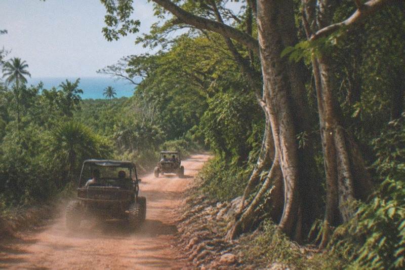 Guided 3-Hour Buggy, Cenote Swim