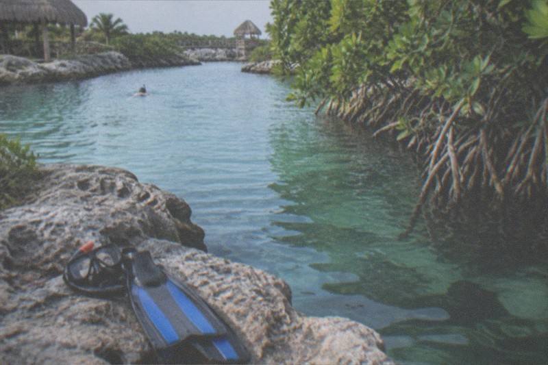 Full-Day Xel-Ha, River Snorkeling