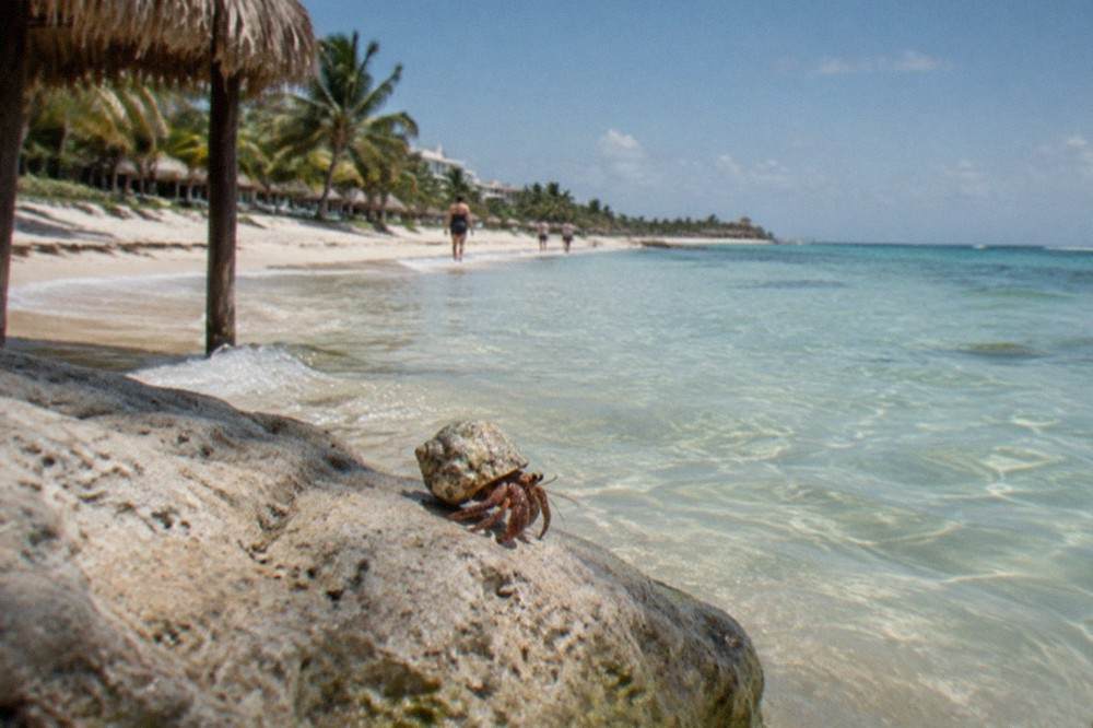 Clear turquoise water at a quiet Riviera Maya beach with soft morning light