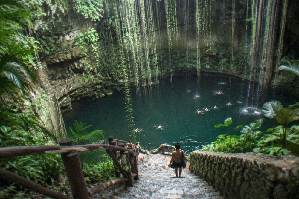 Steep rock walls of an open cenote with green water and hanging vines