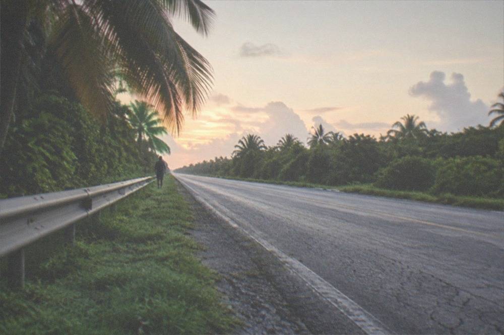Empty tropical highway stretching south through jungle with clear morning sky