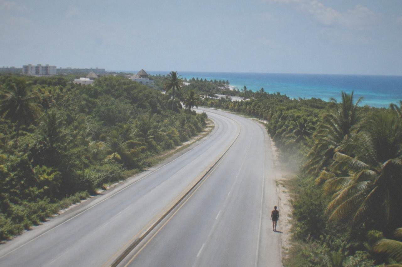 Highway 307 road curving through palm jungle toward the Caribbean coast