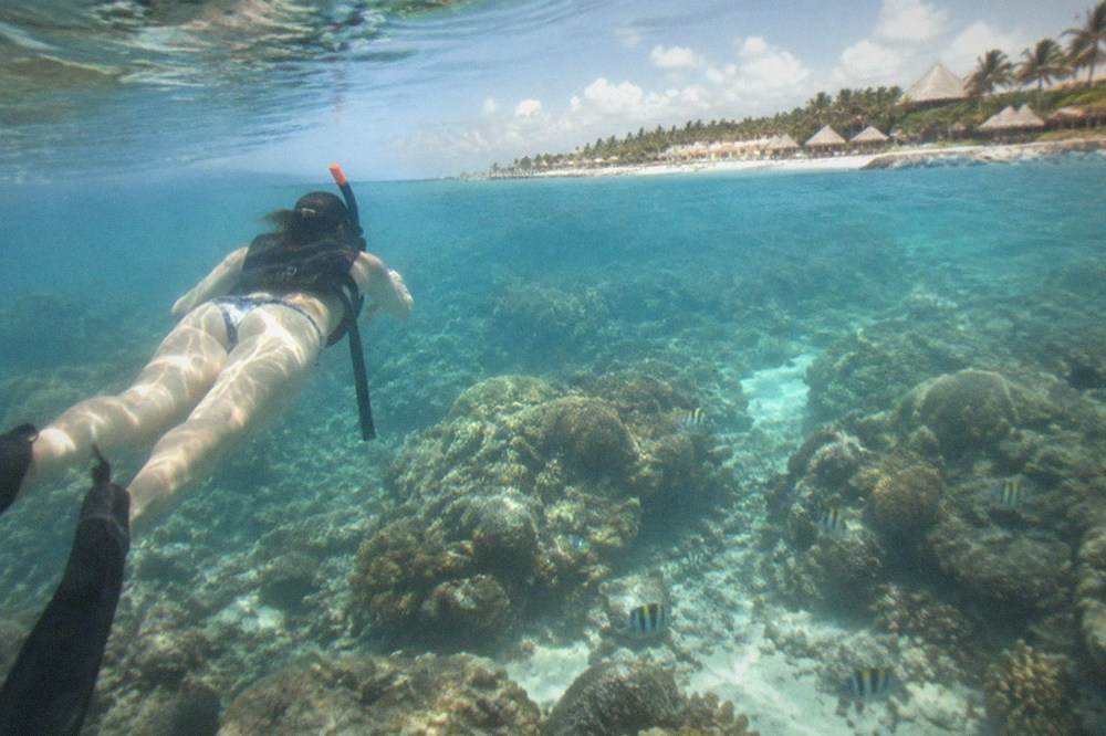Snorkeler floating above a coral reef with visible fish in clear water
