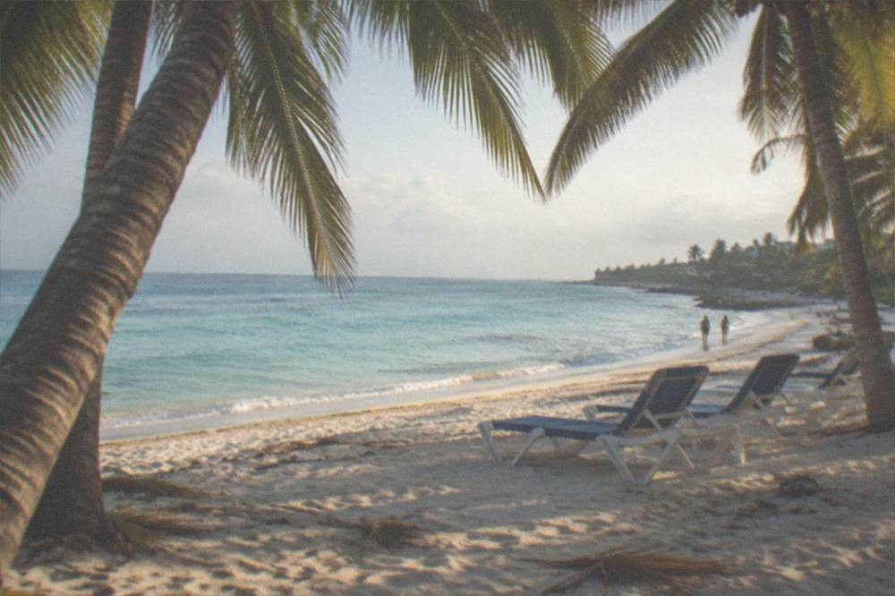 Empty beach chairs under palm trees on a quiet Cozumel beach in morning light