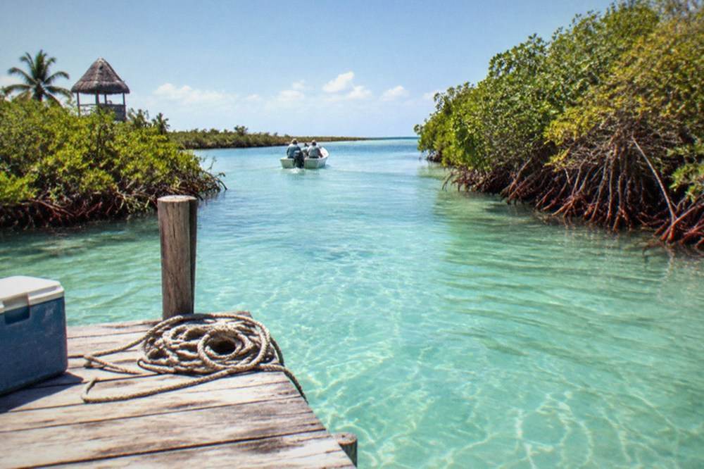 A wooden dock extending over shallow turquoise water with mangroves along the shore