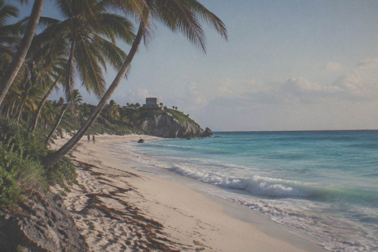 Palm trees leaning over an empty Caribbean beach with turquoise water and a low cliff in the distance