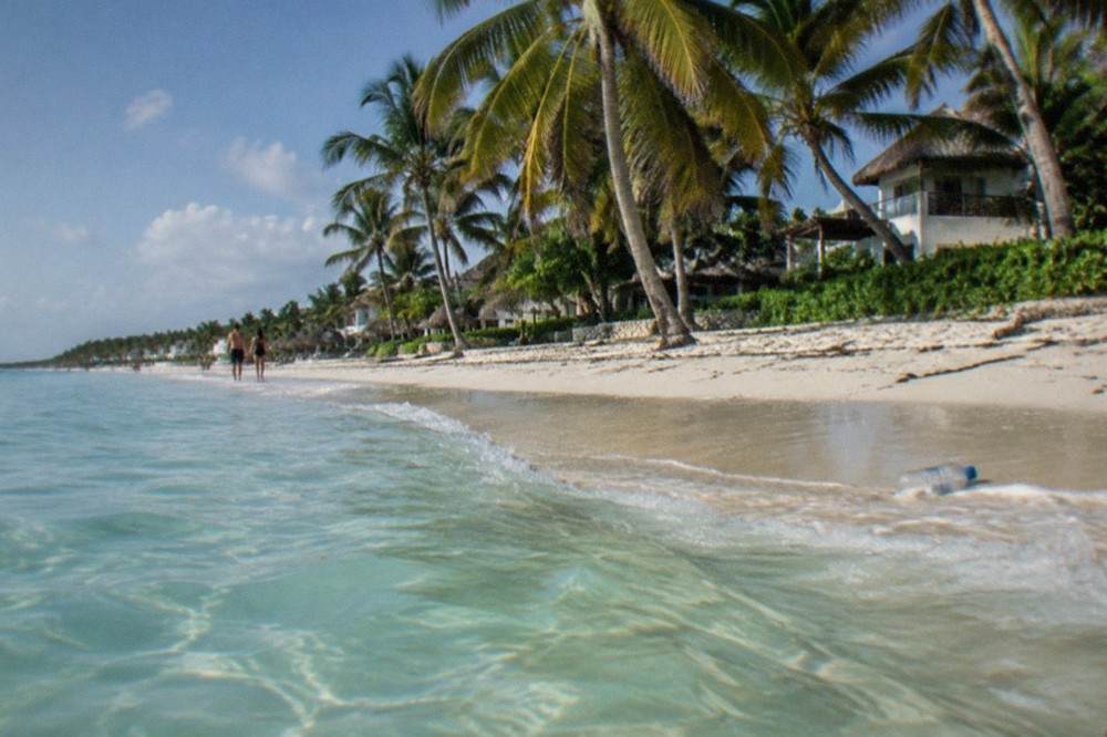 Turquoise Caribbean water meeting pale sand along a quiet palm-lined shoreline