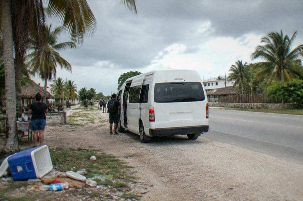 White colectivo van parked at a roadside stop along a palm-lined highway