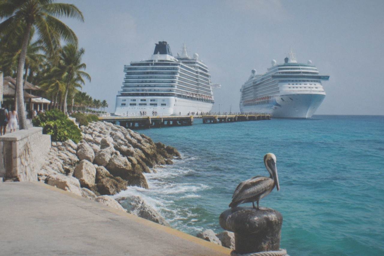 Cruise ships docked at a Cozumel pier with turquoise Caribbean water and palm trees in the background