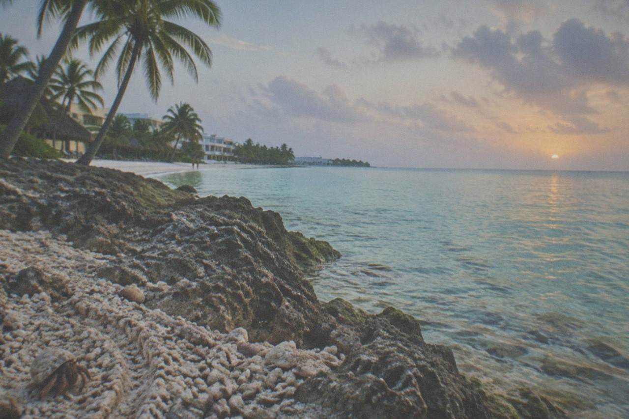Calm turquoise water along a Cozumel shoreline with palm trees and a rocky point