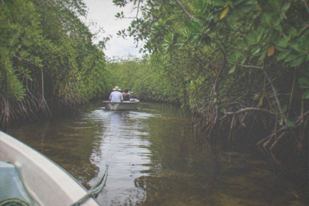 Small boat gliding through a narrow mangrove channel with clear water and dense green foliage on both sides