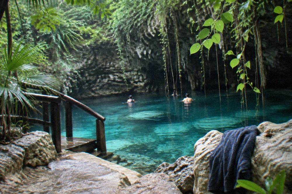 A dense green jungle canopy with vines and a small freshwater pool visible between the trees