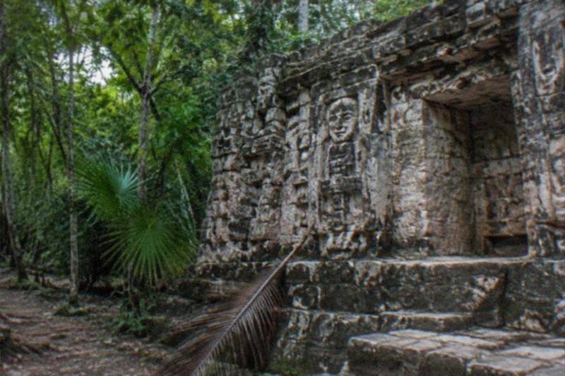 Ancient Maya stone ruins under jungle canopy at Coba, worn limestone steps and a carved facade, dense green foliage around, no people.