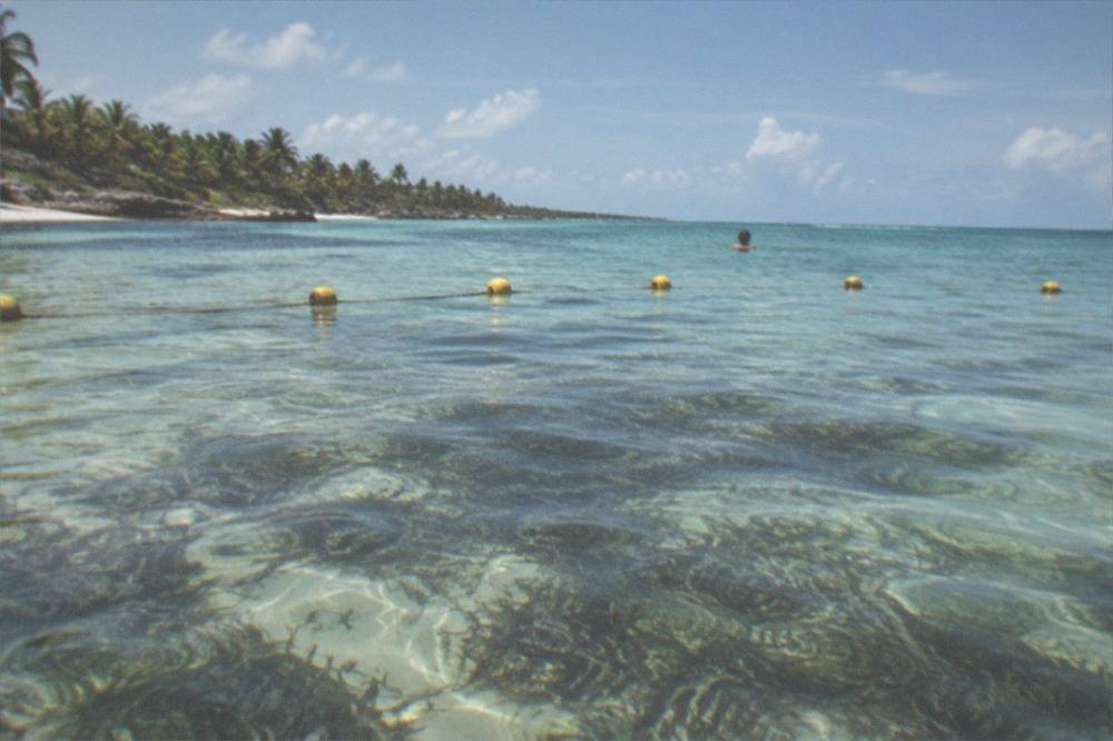 Buoy line marking a protected swimming zone over clear shallow water with seagrass below
