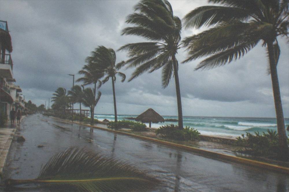 Heavy grey storm clouds over palm trees along a coastal road