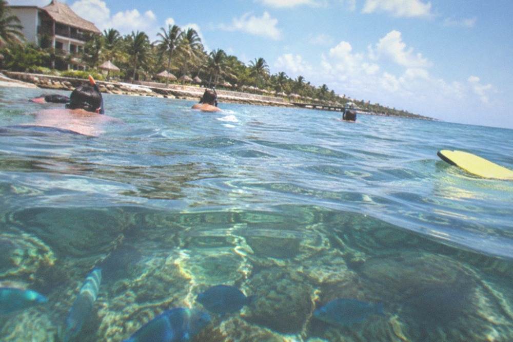 Snorkelers floating above a shallow coral reef in clear blue water