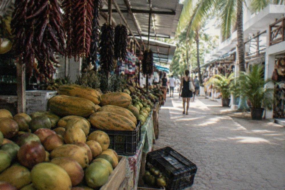 Colorful market stalls with piles of tropical fruit and hanging dried chiles