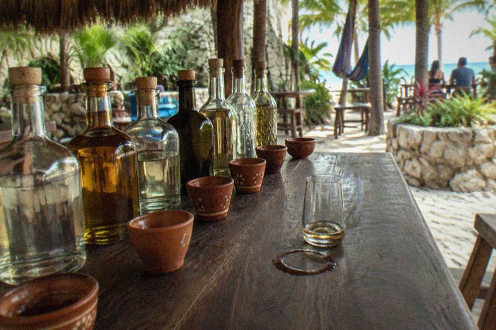 Rows of tequila and mezcal bottles beside tasting glasses on a wooden table