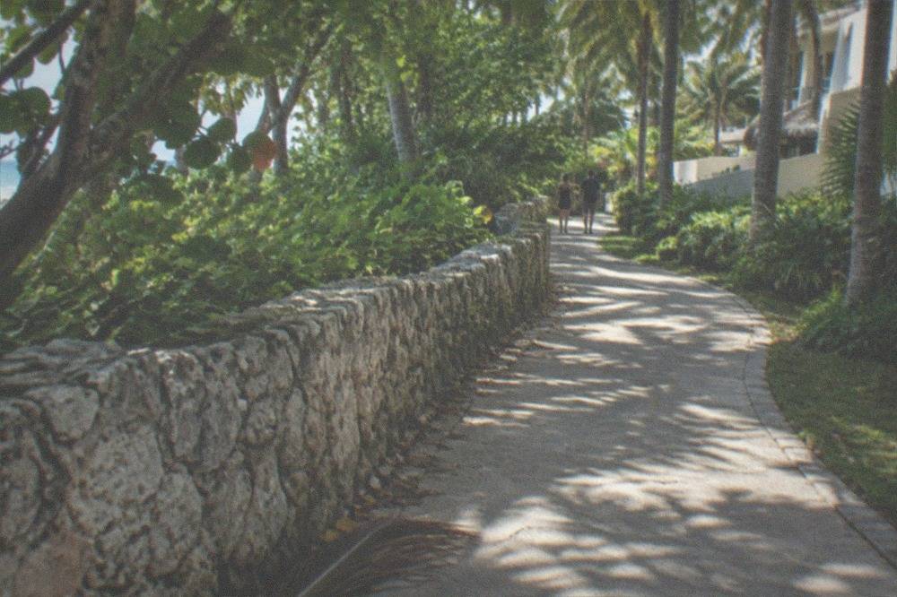 A paved walking path through lush tropical landscaping beside a low stone wall