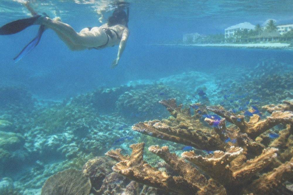 Snorkeler floating above a coral reef in clear blue water