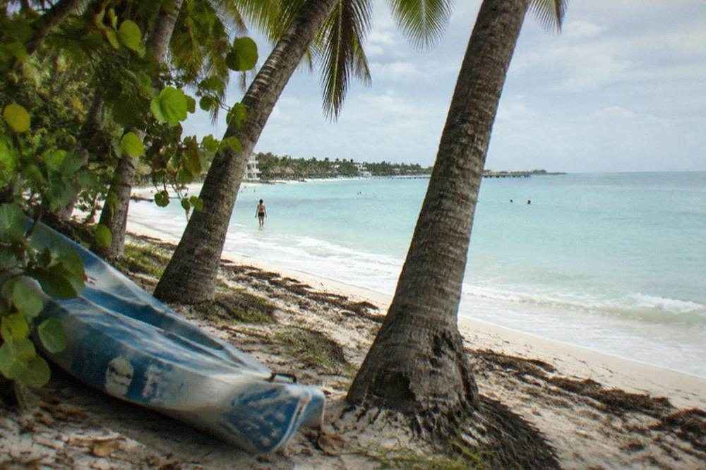 White sand beach with calm turquoise water and a row of palm trees along the shoreline