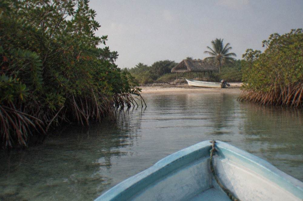 Wide view across a shallow lagoon bordered by mangrove forest