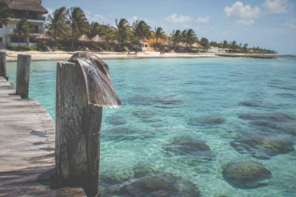 A wooden dock extending into clear turquoise water with a coral reef visible below the surface