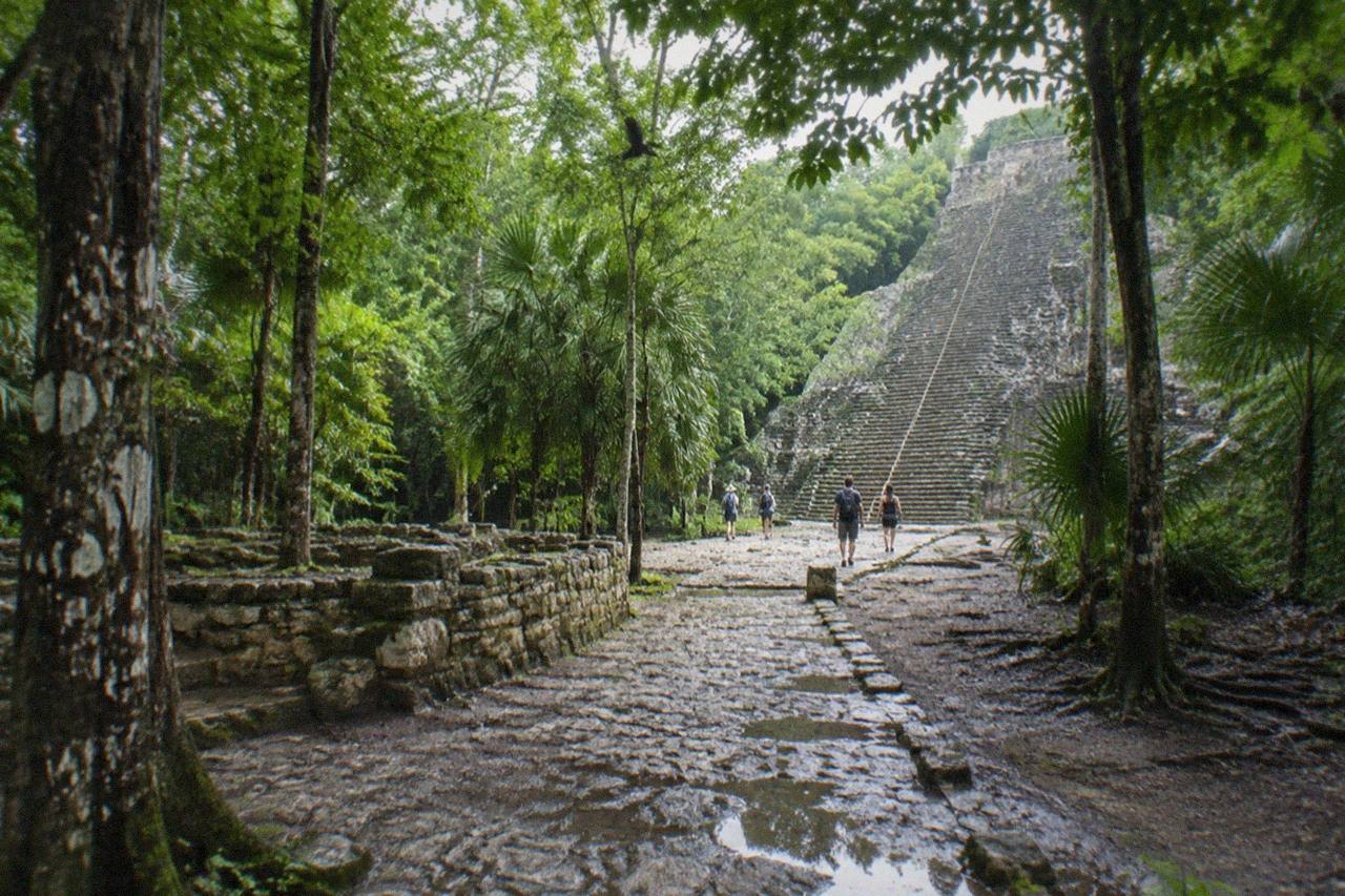 Wide establishing view. Ancient Maya stone ruins under jungle canopy at Coba, worn limestone steps and a carved facade, dense green foliage around, no people.